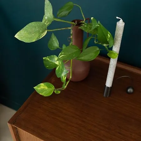 Cosy Designer Seaview Penthouse With Terrace & Bbq アパート *